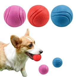 Hondenspeelgoed Bouncy Ball Pet Molar Bite Slip Training Rubber Chew Toy Outdoor Throwing Solid Ball Pet Products