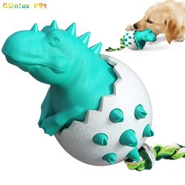 Juguetes para perros, juguete para masticar, limpieza de dientes, dientes molares, masticadores interactivos, tratamiento para perros pequeños, medianos y grandes, accesorios para mascotas, gota 220510