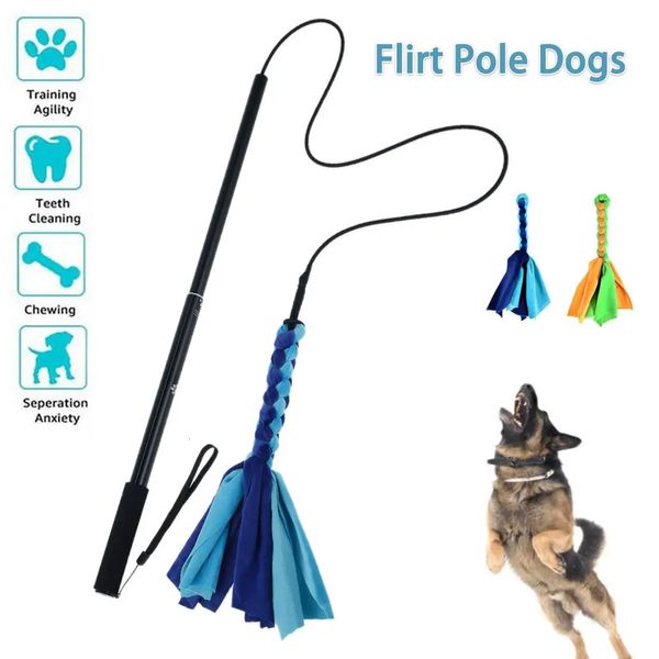 Jouets pour chiens à mâcher jouet pour chien Flirt pôle extensible interactif drôle chassant queue Teaser et exercice pour animaux de compagnie chiens jouets de jeu en plein air 231129