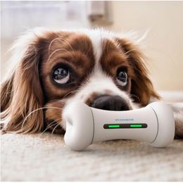 Hondenspeelgoed kauwt ly hondenspeelgoed interactieve emoties Wickedbone Smart Pet Bone App Control Pet Silicone Wheels 231212