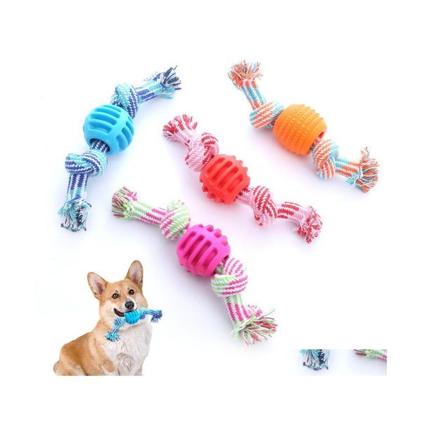 Jouets pour chiens à mâcher corde pour animaux de compagnie à mâcher en forme de boule d'os animaux de compagnie jouant noeud jouet coton nettoyage des dents pour petits 4 couleurs livraison directe H Dh2Yk