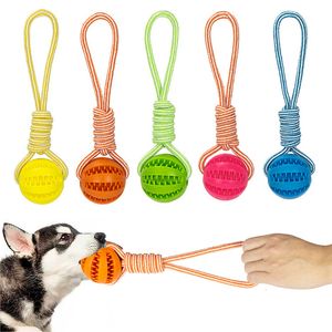 Hondenspeelgoed kauwt ballen behandel interactief hennep touw rubber lekken voor kleine honden kauwen bijten resistent huisdiertandreiniging 230818