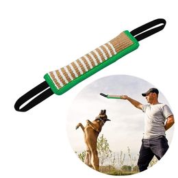 Entraînement de chien bâton de morsure vert élevage d'animaux allemand formé en un chien allemagne, un oreiller de morsure mord le bâton de morsure