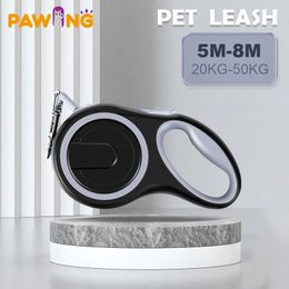 Entraînement de chien obéissance patte de patte automatique rétractable 5M8M Durable LeashRoulette pour harnais essentiel accessoires de collier de marche 231212