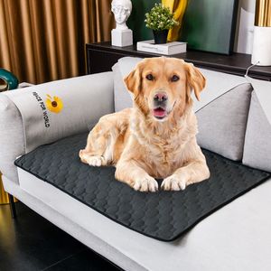 Chien Urine Pad Pet Chiot Canapé Siège De Voiture Couches Tapis Chenil Antidérapant Garder Au Chaud Tapis Absorber L'eau Réutilisable Pet Fournitures Pads BH6775 WLY