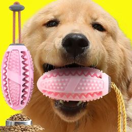 Chiens mâcher des jouets pour animaux de compagnie jouets de balle en caoutchouc naturel interactif