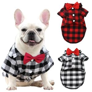 Costume de chiens classique Chihuahua chien chat cravate chiot