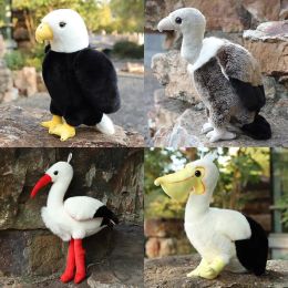 Dolls Real Life Bird Plush Toy Simulation Eagle Vulture Stork Pelican Doll Soft Farged Oreil Decor Home Birthday Christmas Cadeaux