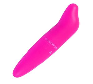 dolfijn vibrator g-spot massager vibrerend ei volwassen seksspeeltje voor vrouwen kleine kogel clit stimulator seksspeeltjes5528779