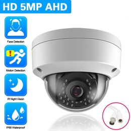 Domecamera's AHD CCTV-bewakingscamera Vandalismebestendig Gezicht Ultra HD Analoge camera Bewegingsdetectie Nachtzicht Kleine Dome Beveiligingscamera's 231208