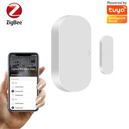 Doodle App Zigbee Sensor magnétique Lien intelligent Porte sans fil et alarme de fenêtre DDMY3C