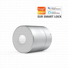 Cerraduras de puertas Euro Tuya Desbloqueo remoto Interior seguro Cerradura de huella digital inteligente Sin cilindro Inteligente para Woden 231202