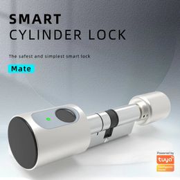 Deursloten Tuya Lock Smart Elektronisch met DIY Cilinderkern Vingerafdruk APP Sleutels IC-kaart Ontgrendelen Vingerafdruk Thuis 231202