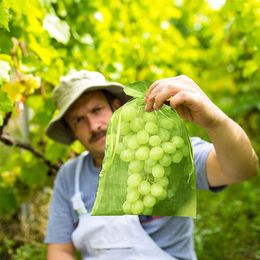 Tuinbenodigdheden 50 stks/set Druiven Fruit Grow Bags Netting Mesh Voor Aardbei Groente Plant Bescherming Gift Organza Bags Anti-Vogel Tuingereedschap