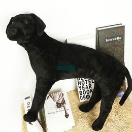 Dorimytrader 61 cm grande qualité simulé Animal Labrador Retriever peluche 24 pouces doux en peluche chien poupée grand enfant cadeau DY60299