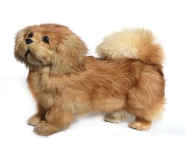 Dorimytrader peluche parecido a un animal pequinés de peluche de juguete de peluche suave caniche realista perro decoración regalo 20x26cm DY800094439736