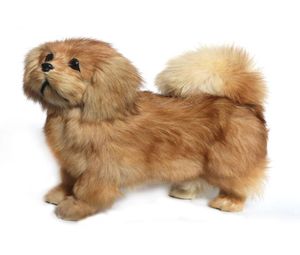 Dorimytrader câlin semblable à un animal pékinois en peluche en peluche doux caniche relistique jouet de décoration de chien de compagnie cadeau 20x26 cm DY800094439736