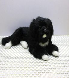Dorimytrader schattige mini levensechte dieren zwarte hond knuffel realistische honden decoratie voor auto Kids gift 2 modellen DY800065703020