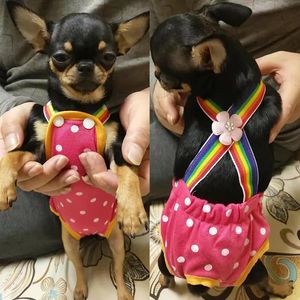 Dot denim hond vrouwelijke shorts broek voor kleine middelgrote honden chihuahua pinscher fysiologisch slipje mascotas ondergoed accessoires 240422