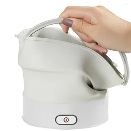 Double chaudière 1 L en Silicone, bouilloire électrique, cuiseur vapeur Portable de qualité alimentaire, cuisson multifonction