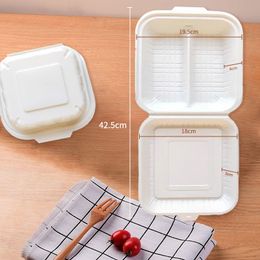Dubbele doosverpakking wegwerp Amerikaanse plastic verpakking afhaalrijst ontbijt vierkante hotdog hamburger maatwerk maaltijdvoorbereidingscontainer lunchcontainers