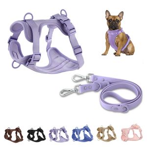 Laisse double pour chien en PVC Ensemble harnais et laisse pour chien confortable et respirant Colliers de sangle de poitrine réglables-f- Harnais Laisses 240307