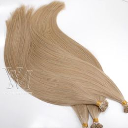 Double Drawn 0.5g / strand 100g European I-tip Human Pre-bonded Virgin Remy Human Straight Keratin Brown Blonde Hair Extensions