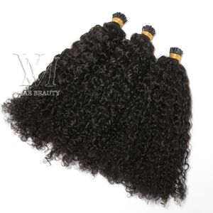 VMAE Vietnamese Natural Color 1g Strand 100g Pre Bonded Keratin Fusion Custom Kinky Curly I Tip Human Hair Extension