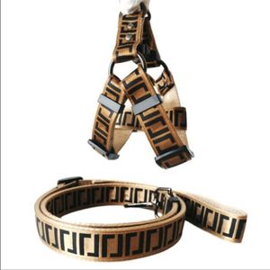 Double lettre chien poitrine dos laisse pour animaux de compagnie fournitures pour animaux de compagnie collier double lettre ceinture de sécurité de voiture 2021 matériau polyester article n° 026293S