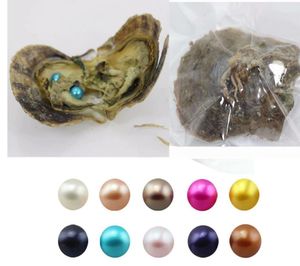 Dubbele parels 30 kleuren 67 mm Twin Pearls in zoutwater oesters Akoya oesters dty sieraden maken geschenken voor lover3549595