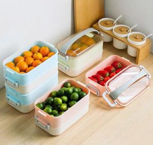 Dubbele koelkast fruit scherper voedsel opbergdoos maaltijd doos
