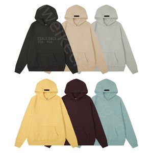Dubbele rij offsetprint hoodie en fleece hoodie blouse dames grijze dameskleding Amerikaanse maat universiteit sweatshirt gothic sweatshirt eam sweatshirt top