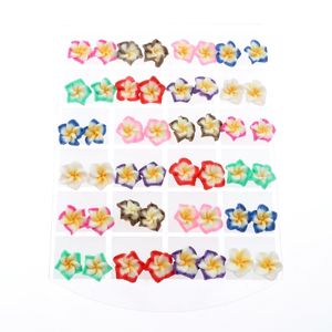 DOUVEI 24 paires Promociones ensemble 24 paires multicolore hawaïen frangipanier enfants fleur boucles d'oreilles pour la fête