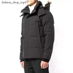 Down Canada Jacket Parka Outwear Wolf Fur Canada GOOS HOODED MATEED ENRÉRIEUR EURVERSE PARKA Canada 507