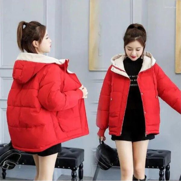 Vestes à coucher en bas Hiver épaissis et veste à capuche chaude Version coréenne Version coréenne de 15 à 20 ans