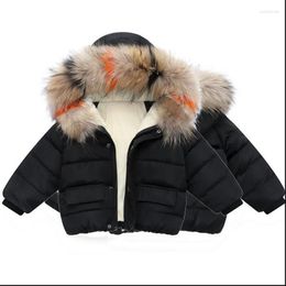 Daunenmantel Winter Mädchen Baumwolle gepolsterte Jacke koreanische Version 1-7 Jahre alte Jungen verdickte Kinder