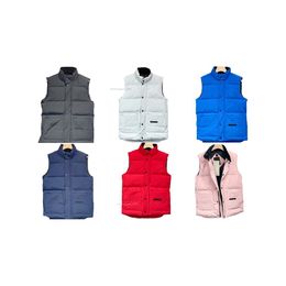 Doudoune mens designer veste puffer vest Gilets hommes femmes hiver vers le bas hommes femmes vêtements mode manteau hommes mode gilets doudoune femme hiver vers le bas manteau