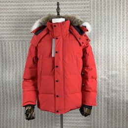 Vestes en bas masses parka hivernale imperméable en tissu homme loup fourrure wyndham veste à capuche à quatre vitesses de raton laveur