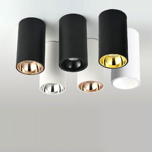 Downlights Cylindre Salon Cuisine Chambre Foyer Offcer Or Rose Dimmable LED Plafonniers 5W 10W 15W 20W Lampe