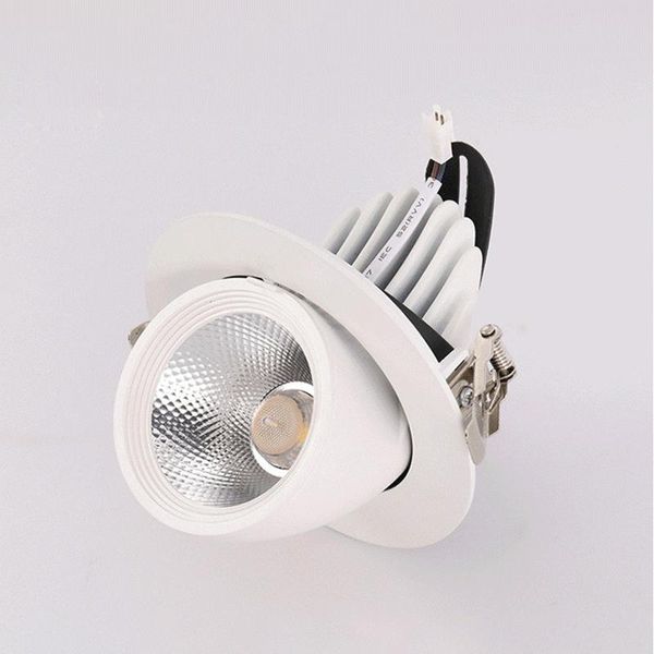 Downlights LED Tronc Lumière COB Gimbal 10W 15W 20 30W Blanc Chaud Froid Gimble Lampe Rotatif Downlight Réglable