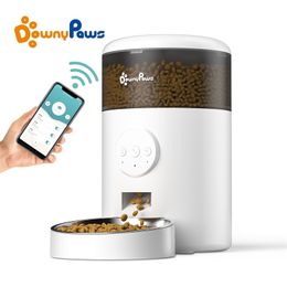 Downypaws 4L Automatische Cat Food Feeder met roestvrijstalen kom Anti-klomp Wifi voor Pet Dog Diming Cats Kibble Dispenser 220323