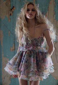 Jurk Designer Dameskleding 2024 Zomer Nieuwe gemengde kleurvlinder Herbalprint Mini -jurk Minestige rok voor vrouwen
