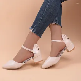 Robe mode 217 chaussures coréennes pointues orteil des pompes féminines 2024 printemps confortable talon carré dames Simple Bureau