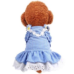 Robe Mini bleu grille soleil dentelle printemps été vêtements pour petite fête chien jupe chiot animal de compagnie Costume animaux tenues LJ200923239h