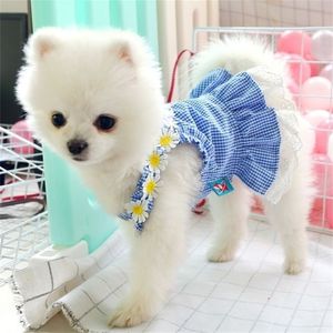 Jurk Mini Blue Grid Sun Lace Spring Summer Kleding voor klein feesthondenrok Puppy Pet Kostuum huisdieren Outfits LJ200923296M