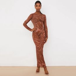Hobe Perspective Robe Hot Girl Sheer Mesh manches longues Robe imprimée Femme Sexy Oneck OneStep Bodycon Clubwear Robe
