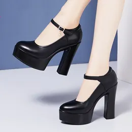 Jurk Schoenen 12 Cm 13 Cm Ondiepe Mode Echt Leer Vrouwen 2024 Lente Blok Hoge Hakken Platform Voor Bruiloft model