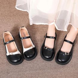 Dress Shoes 2024 Women's Summer and Autumn Vintage Corean Edition British Style Mary Jane Casual Lefu
