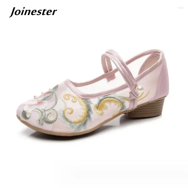 Zapatos de vestir correa de tobillo de malla bordada calzado medio calzado para mujeres de estilo retro Mary Jane Pumps Spring Summer