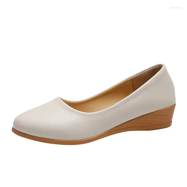 Zapatos de vestir Otoño Bombas de mujer Moda Punta redonda Tacones de cuña poco profundos Diario Fondo suave Slip-on Office Lady Tacón pequeño Cuero